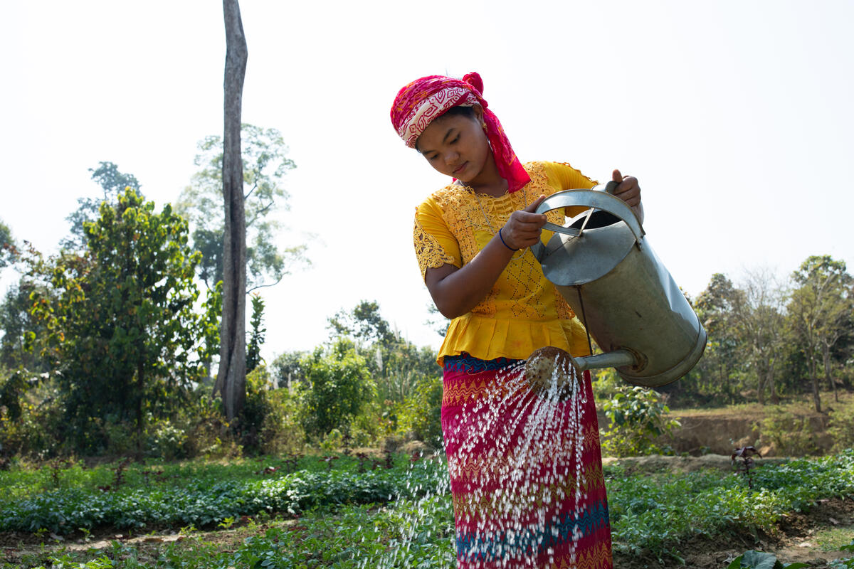 Bangladesh. The creation of vegetable collection centres has had a positive impact on the lives of many vulnerable local families in Cox's Bazar, like Mathana Chakma and her family
