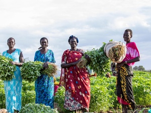 Four South Sudanese refugee women stand in a farm holding large bundles of herbs.