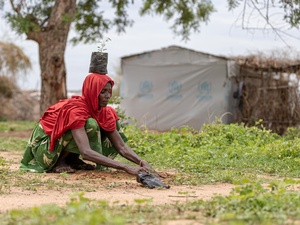 Cameroon. Planting 2,000 trees in the Far North region of Cameroon to help combat desertification