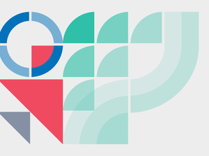 Annual Consultations with NGOs