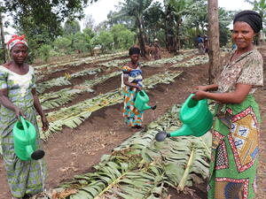 Democratic Republic of Congo. Displaced populations and host community rebuild lives through cultivating land together