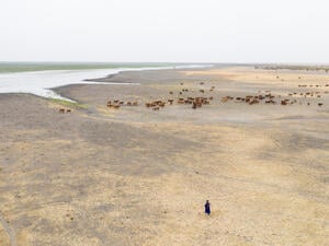 Mauritania. Lake's dwindling waters threaten farming and fishing communities