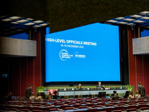 Switzerland. High Commissioner addresses opening session of virtual High-Level Officials Meeting in Geneva