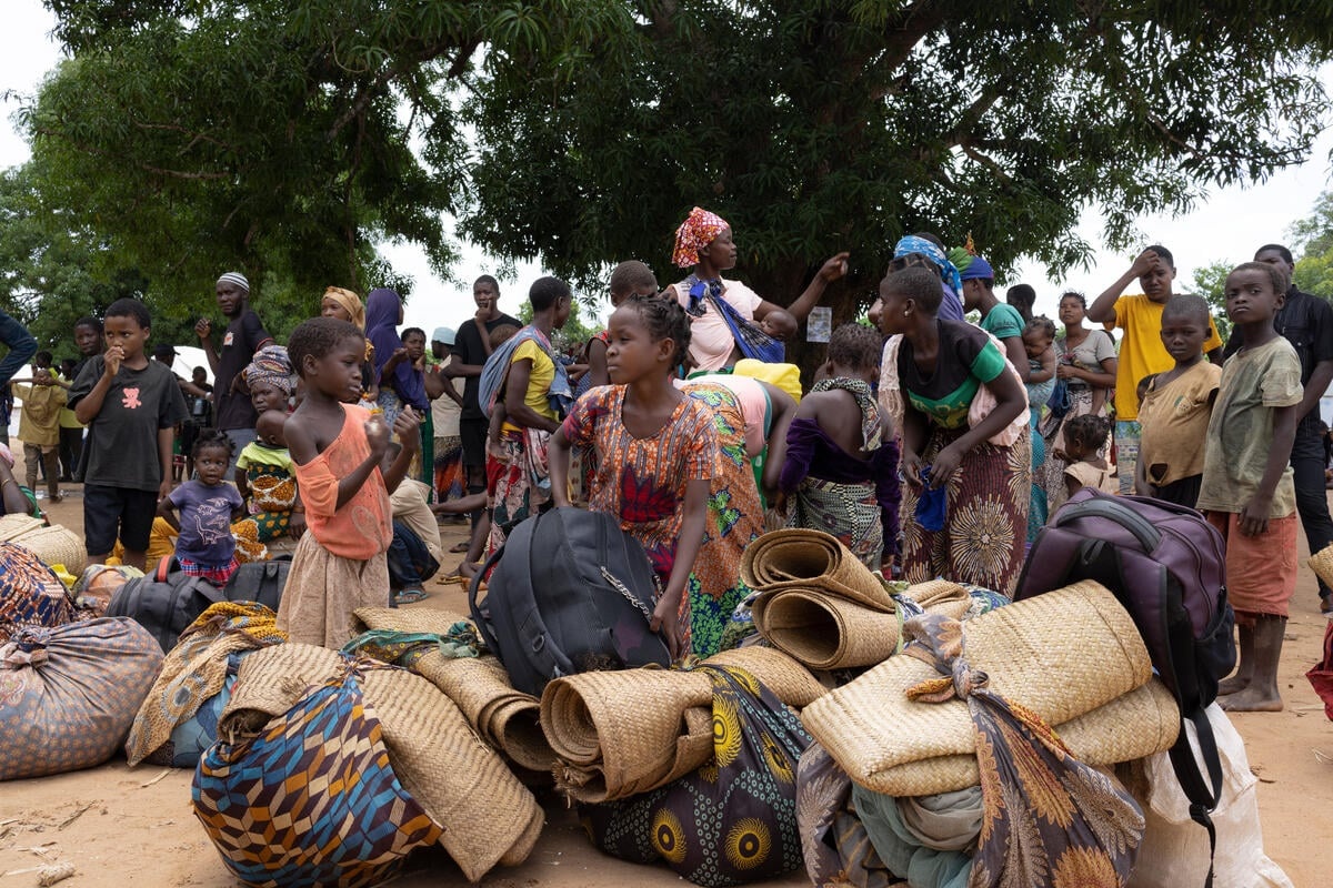 A large group of newly displaced people gather with their belongings in front of a large tree