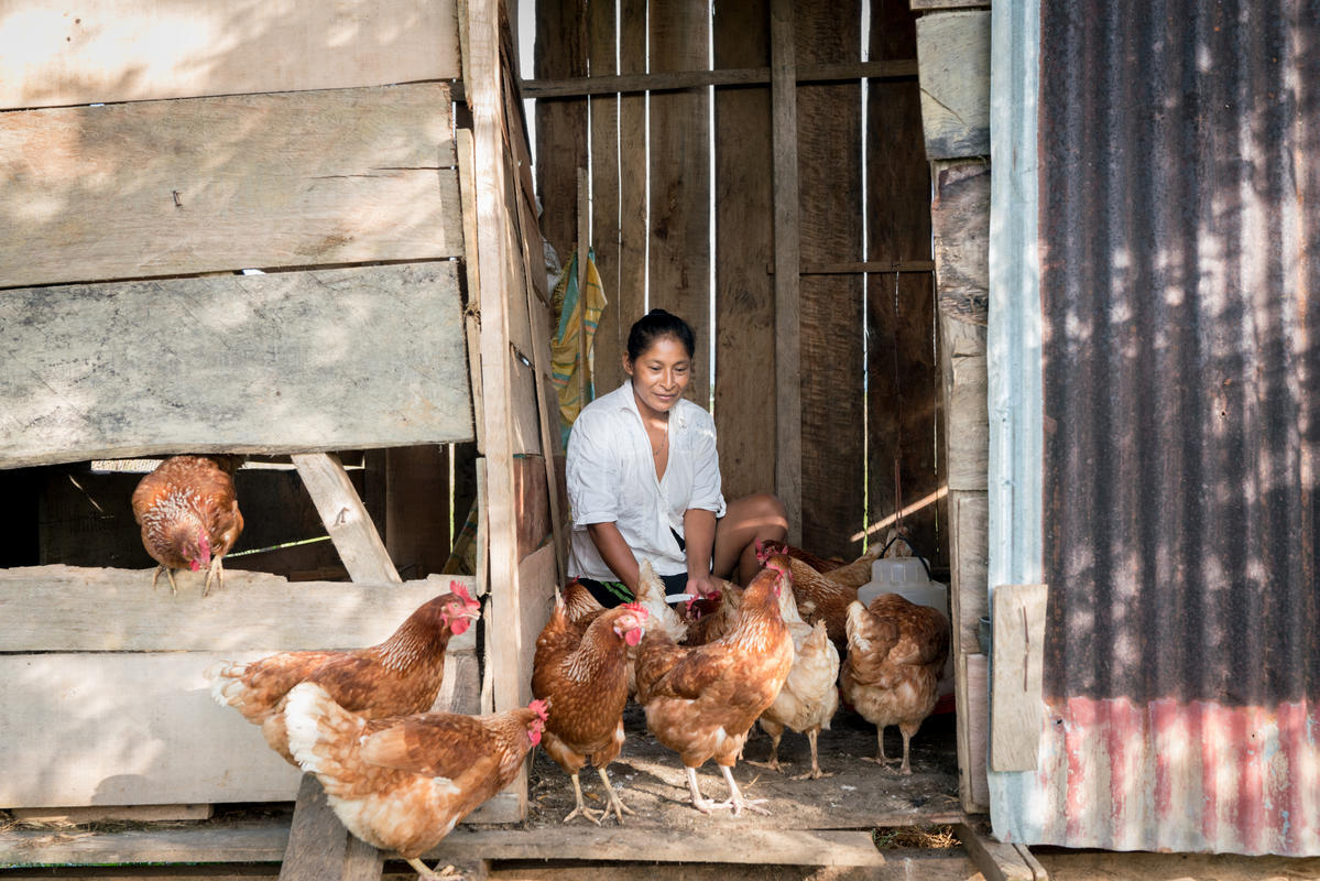 Colombia. Members of the Awá Mayasquer settlement next to Villagarzón