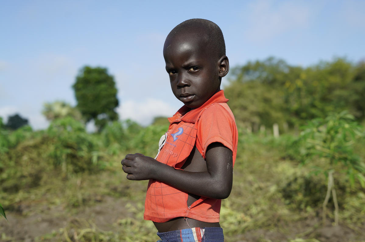 Uganda. South Sudanese refugees regenerate rice-growing economy