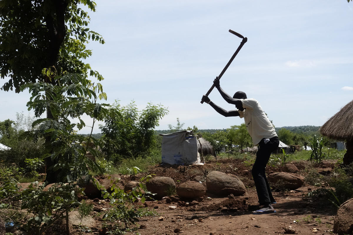 Uganda. The South Sudanese refugee has seen vast tree cover disappear and understands the pressure refugees and host communities put on forest resources. He is doing his part to undo some of the damage by planting trees around his small plot of land. He is also helping to sensitize other refugees to