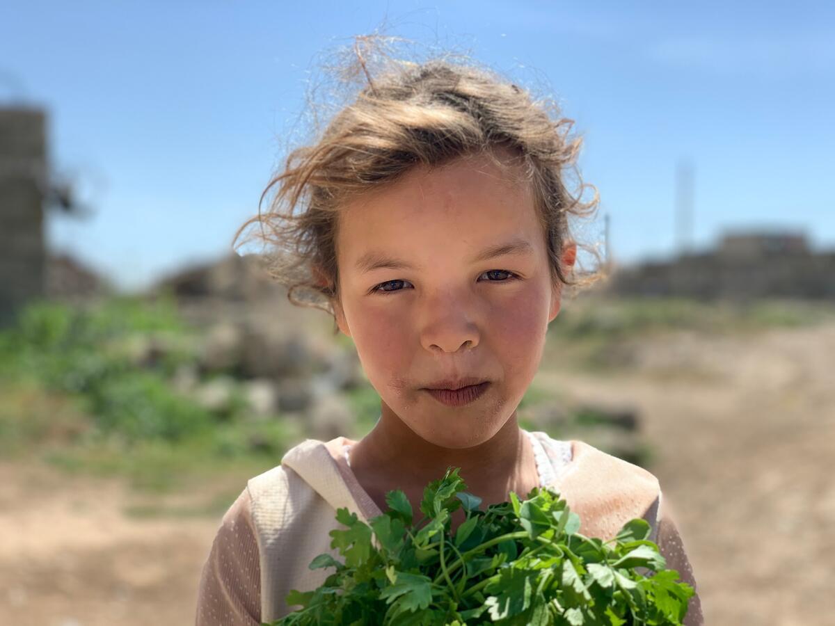 Iraq. Internally displaced persons in Iraq have returned to their points of origin, but some services are still lacking