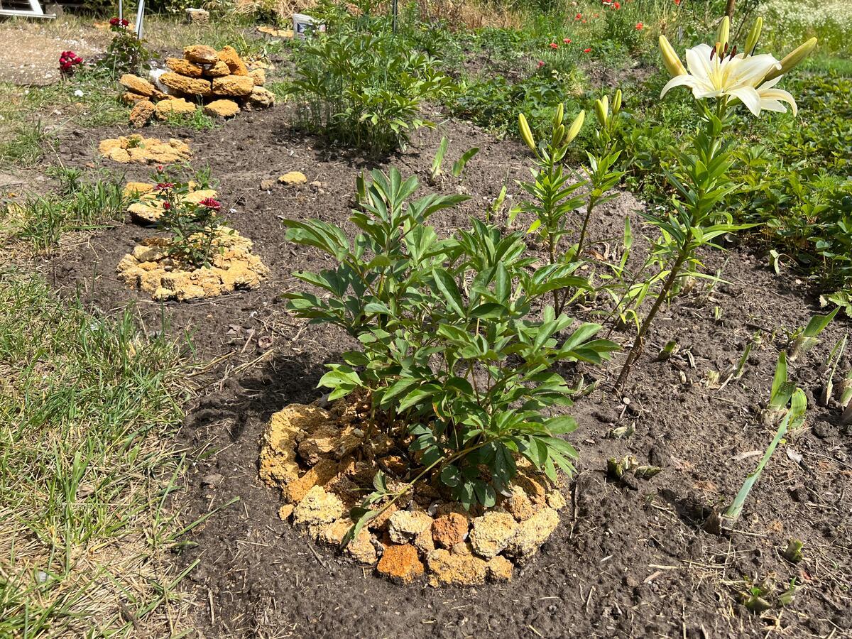 Ukraine. Ukrainian village torn apart by war begins long process of rebuilding