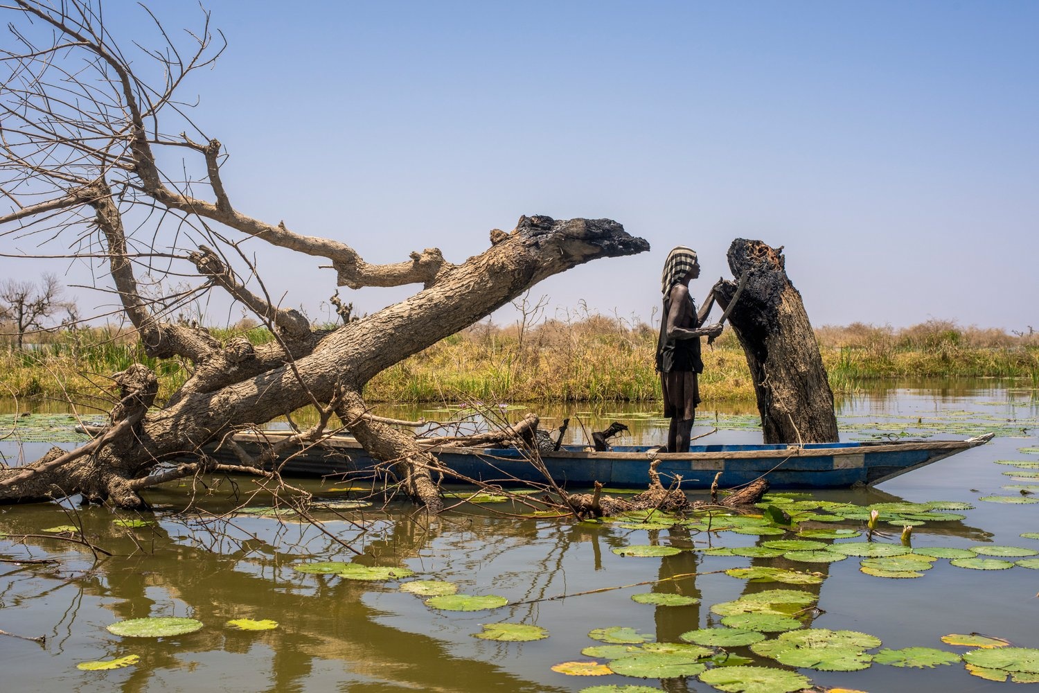 A woman standing in a canoe cuts at a burned tree stump with a machete.
