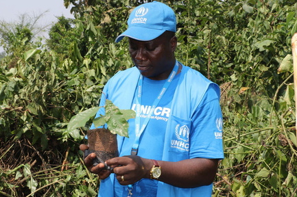 Republic of Congo. UNHCR partners kick start 2024 WRD event with tree planting in Betou