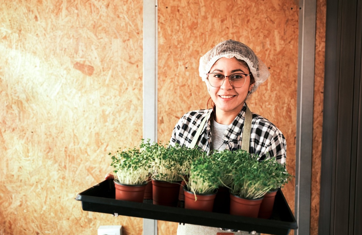 A woman wearing a hair net carries a tray of microgreens