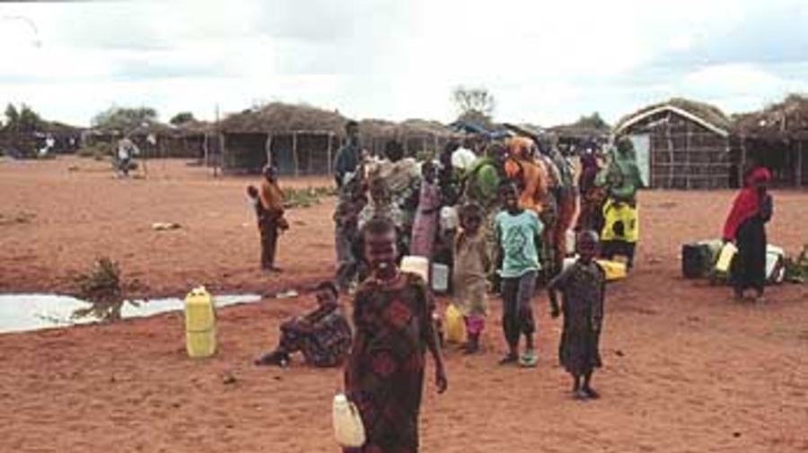 Dadaab camp in Kenya, cited in the report by the U.N. Office of Internal Oversight Services.