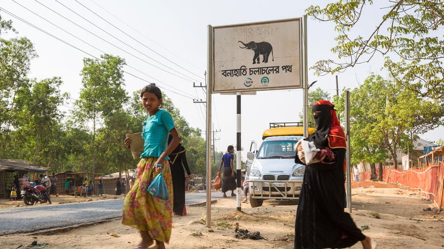 Bangladesh. Elephant crossing sign