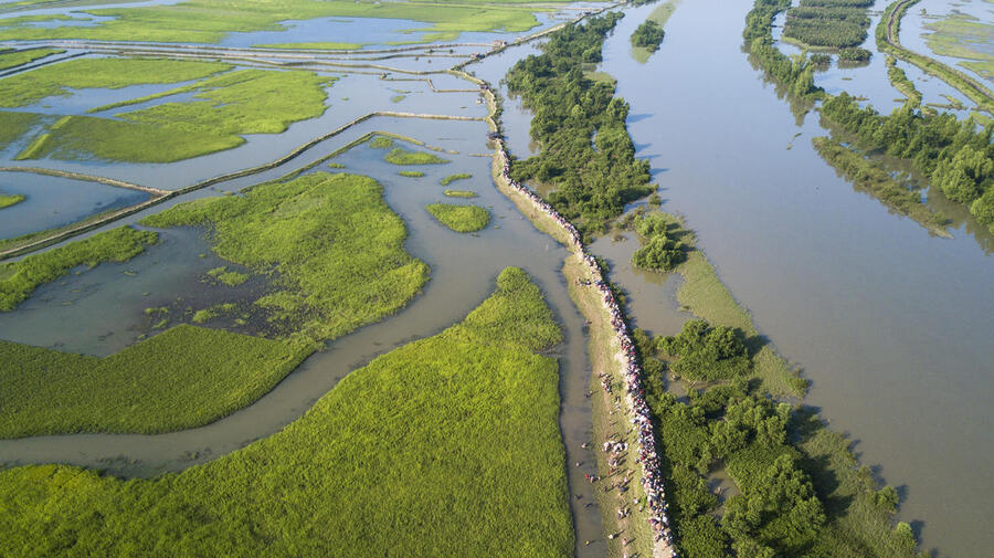 Bangladesh. Rohingya arrivals moved to new site