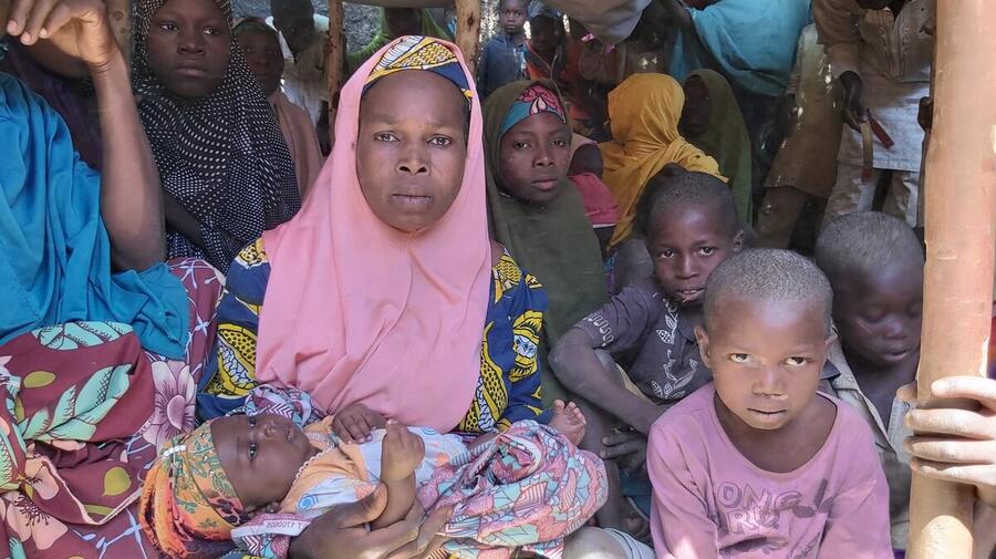 Niger. Surging violence in Nigeria fuels displacement
