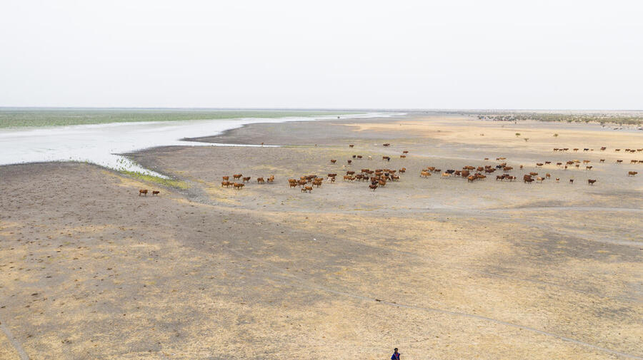 Mauritania. Lake's dwindling waters threaten farming and fishing communities