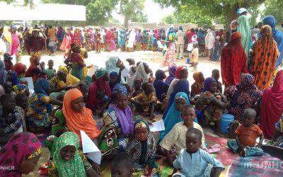 Bruut geweld in Noord-Nigeria verdrijft duizenden mensen naar Niger
