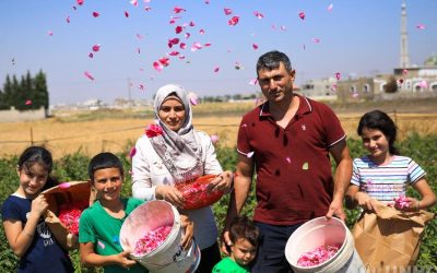 Syrische rozenkweker gebruikt zijn talenten om een nieuw leven te starten in Libanon