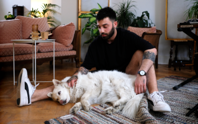 Bassel & Stella : Le voyage d’un musicien et de son chien vers la Belgique, en quête de sécurité