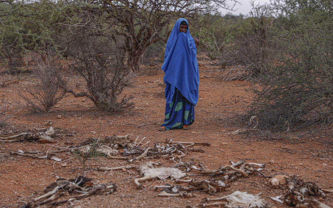 Aanhoudende droogte veroorzaakt levensbedreigende voedseltekorten voor vluchtelingen in Ethiopië