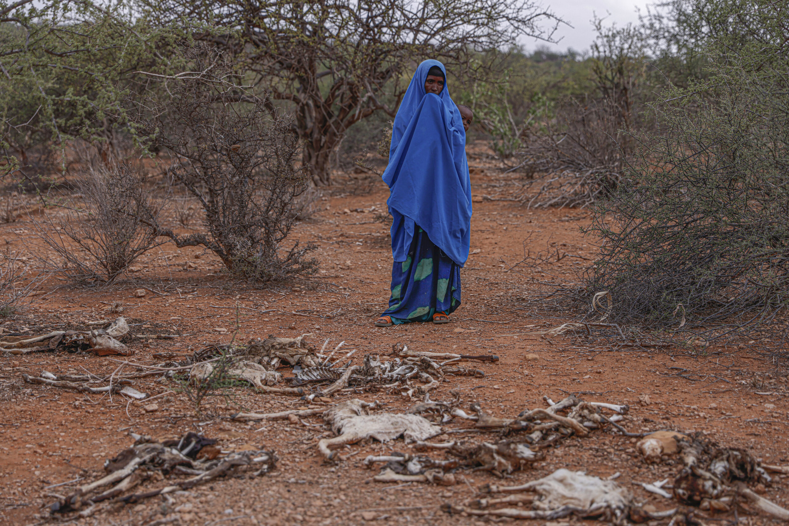 Een vrouw die naar Melkadida in Ethiopië is gevlucht voor de hongersnood in haar geboortedorp in Somalië, staat naast de karkassen van haar dode geiten. © UNHCR/Tiksa Negeri