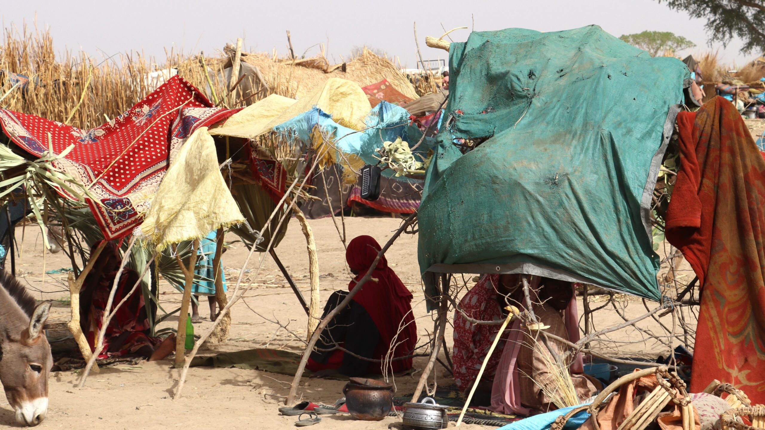Des réfugiés soudanais récemment arrivés au Tchad. © HCR/Aristophane Ngargoune