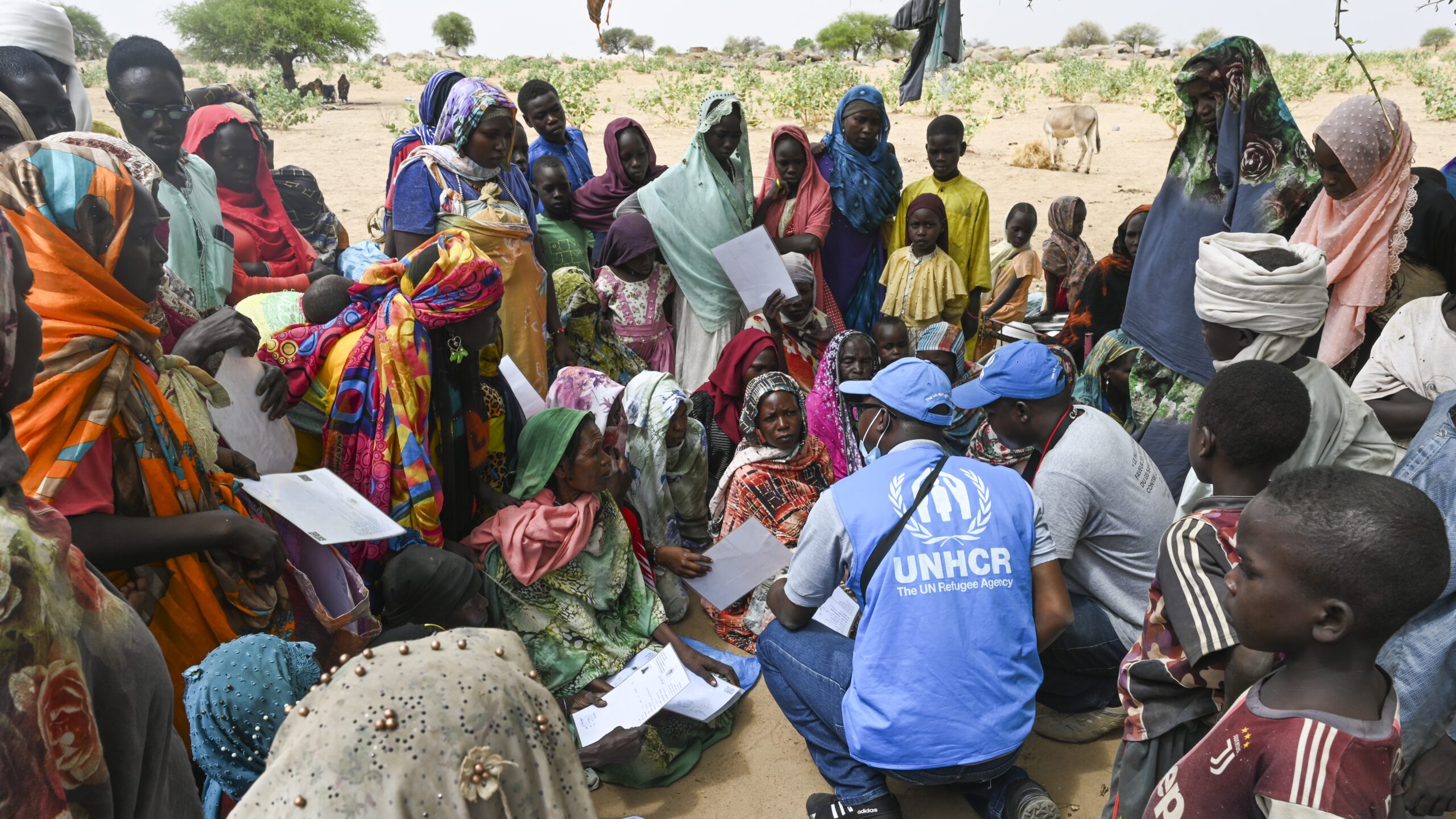 Honderden Soedanese vluchtelingen die zopas zijn aangekomen in Tsjaad verzamelen zich voor een voedseldistributie in Koufroun in de regio Ouaddai. © UNHCR/Colin Delfosse