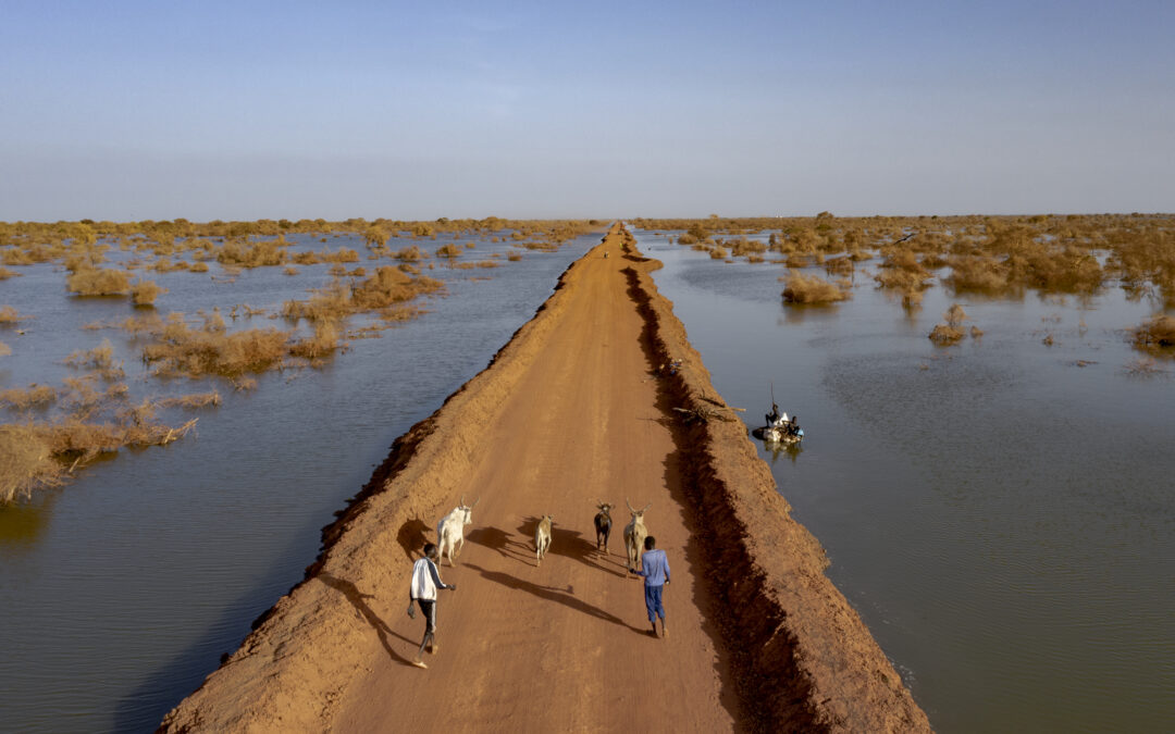 Le Soudan du Sud pris au piège de l’urgence climatique