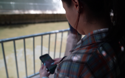 CareLine: Using AI Responsibly to Help Answer Refugees’ Queries 