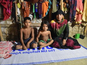 Bangladesh. Safer, more sustainable fuel supply for Rohingya refugees