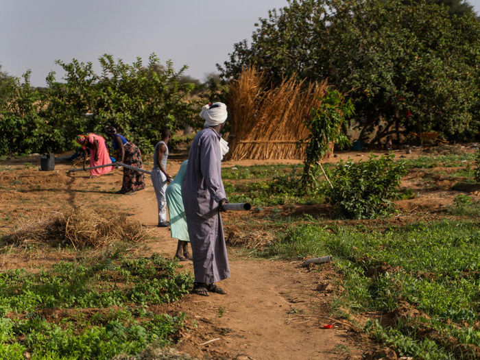 Five people work outside on an Agro project.