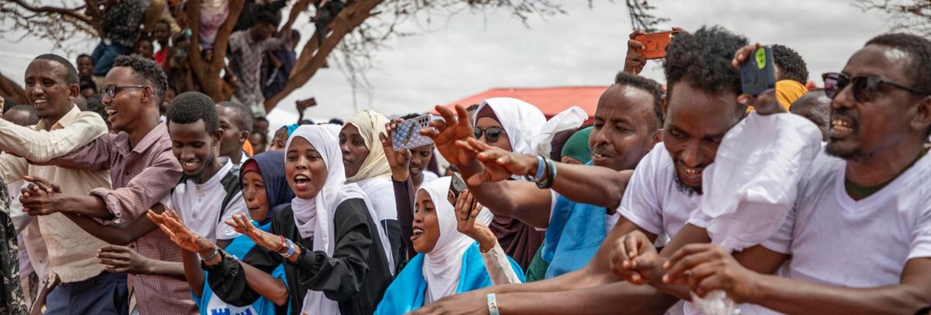 A large group of people dance outdoors while others others sit in a tree nearby