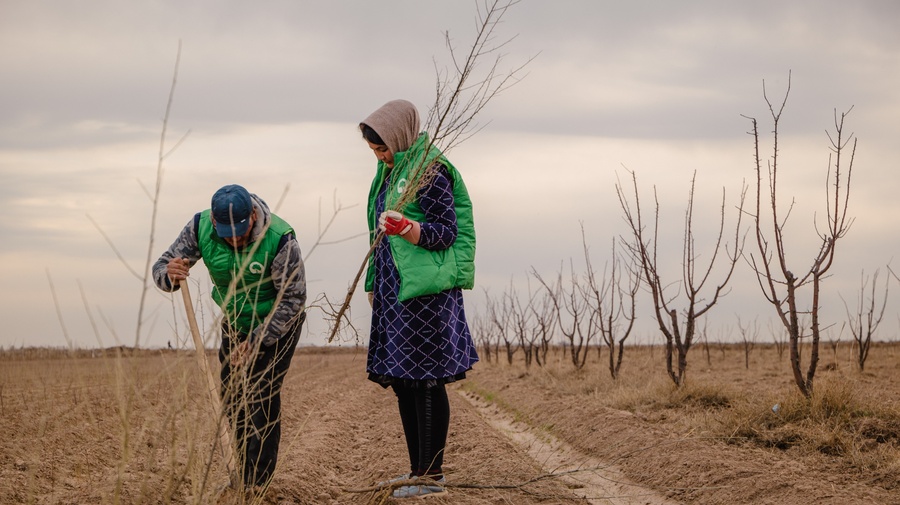 Afghan and Uzbek communities contribute to climate action in Surkhandarya  