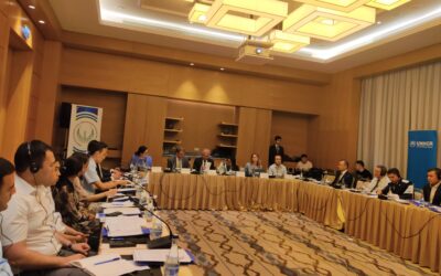 NHRC and UNHCR facilitate discussion on interim arrangements for persons in need of international protection in Uzbekistan
