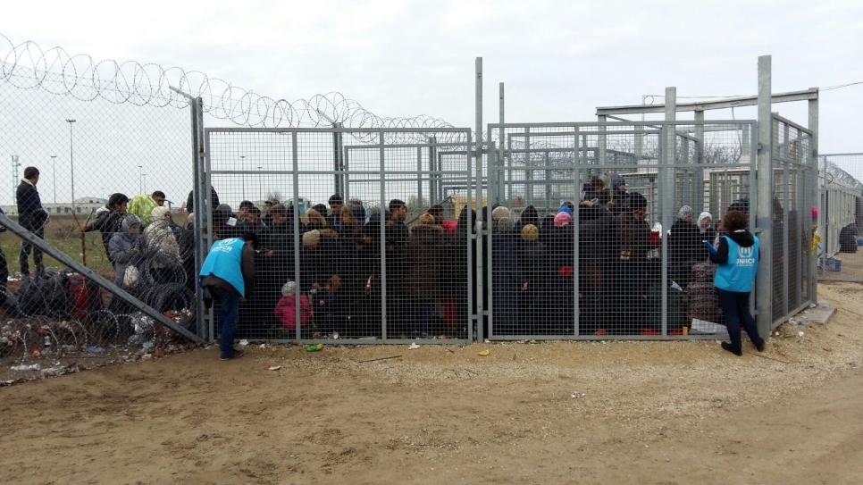 UNHCR urges suspension of transfers of asylum-seekers to Hungary under Dublin