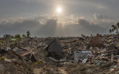 联合国难民署为印尼地震幸存者空运帐篷