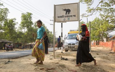 孟加拉为保护难民和大象设立的“大象工作组”