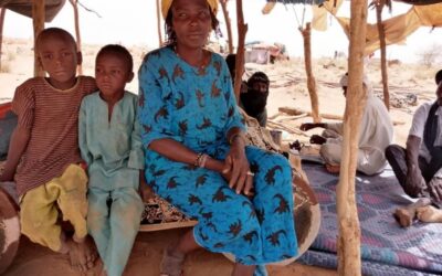 尼日尔西部流离失所者遭受致命袭击 联合国难民署表示强烈愤慨