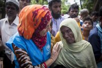 Über 500.000 Flüchtlinge in Bangladesch: UNHCR errichtet weitere Notunterkünfte