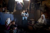 Neuer Hilfsplan für  mehr als fünf Millionen syrische Flüchtlinge