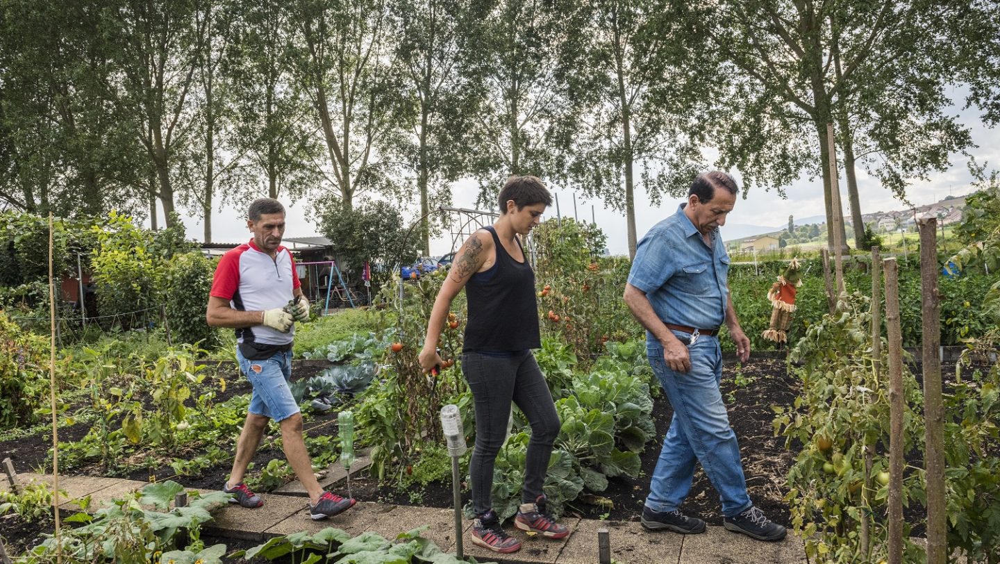 Switzerland. Integration of refugees through a gardening project