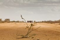 Le HCR lance un appel à l’aide en raison de la sécheresse désastreuse en Afrique de l’Est