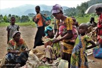 Des attaques au Nord-Kivu poussent des dizaines de milliers de personnes à fuir