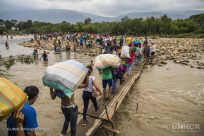 Mehrheit der geflohenen Venezolaner braucht internationalen Flüchtlingsschutz
