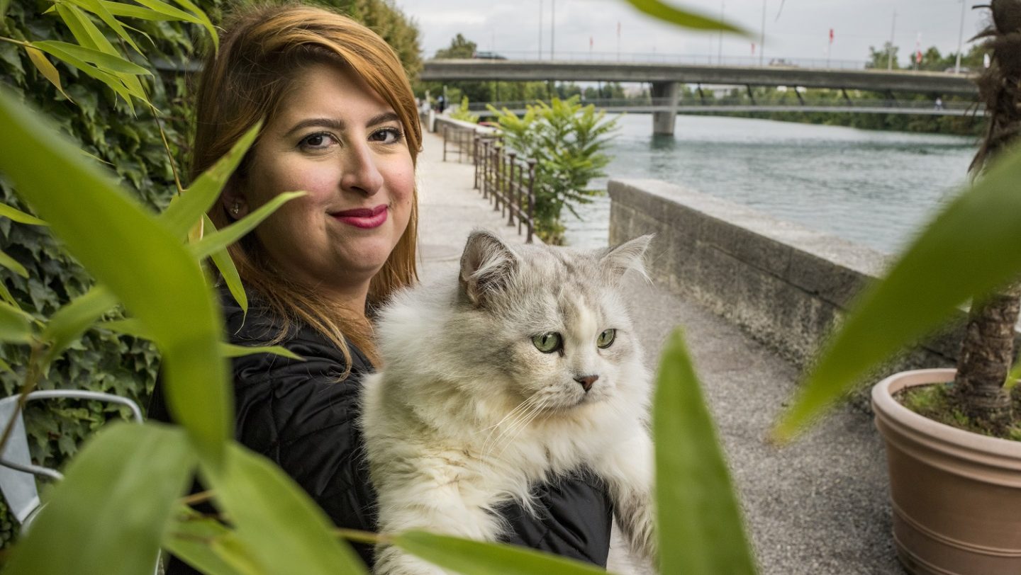 Switzerland. Pet cat brings companionship on long journey to safety