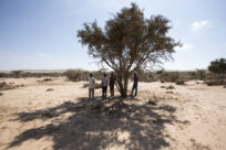 Kritische Lücken im Schutz für Menschen auf der Flucht in der Sahelzone und in Ostafrika