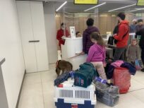 UNHCR und IOM begrüßen die deutsche Initiative zur Aufnahme von Flüchtlingen aus der Ukraine, die nach Moldau geflohen sind
