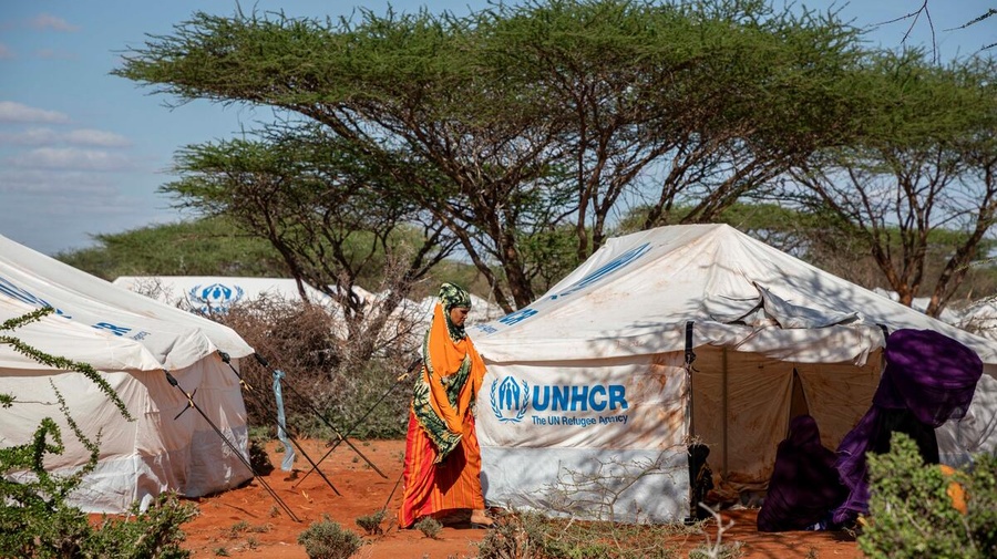 Anfang 2023 sind schätzungsweise 100.000 Menschen aus Somalia über die Grenze nach Äthiopien geflohen, um der Gewalt im Land zu entkommen. © UNHCR/Diana Diaz