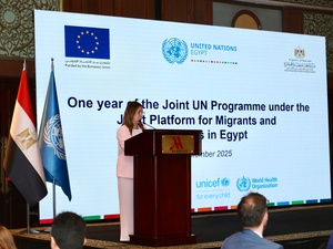 دكتور حنان حمدان، ممثلة مفوضية الأمم المتحدة لشؤون اللاجئين في مصر، في المنصة المشتركة بين الحكومة المصرية والأمم المتحدة بشأن المهاجرين واللاجئين والمجتمعات المضيفة في مصر.